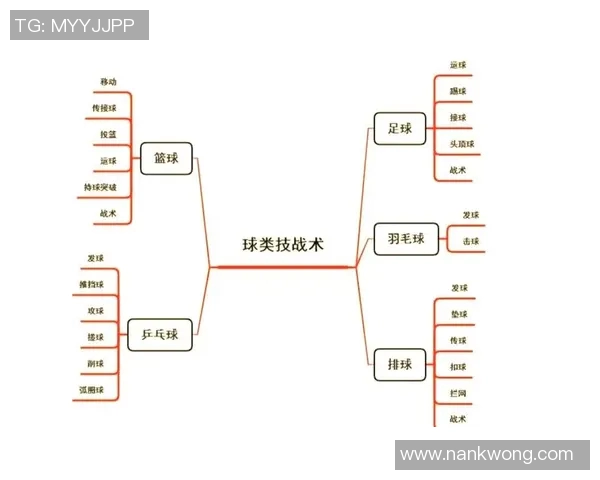 武汉排球队的整体压制策略与战术分析深度解析