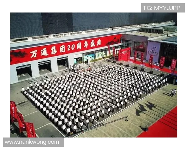 武汉羽毛球队的辉煌征程与大满贯梦想的追逐之路